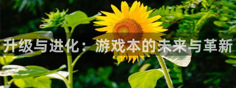 高德娱乐平台官方网站：升级与进化：游戏本的未来与革新