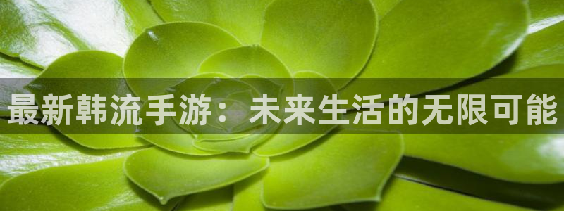 高德娱乐直属：最新韩流手游：未来生活的无限可能
