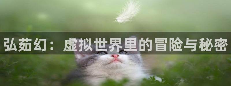 高德娱乐平台注册开户:弘茹幻:虚拟世界里的冒险与秘密