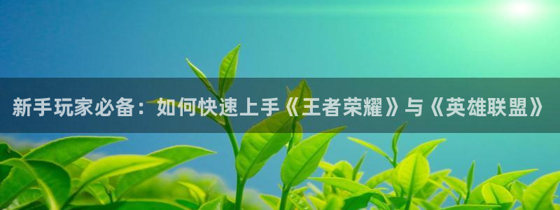 高德娱乐网页登录入口下载:新手玩家必备:如何快速上手《王者荣