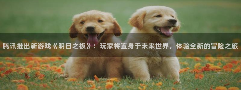 高德娱乐2首页登录：腾讯推出新游戏《明日之极》：玩家将置身于