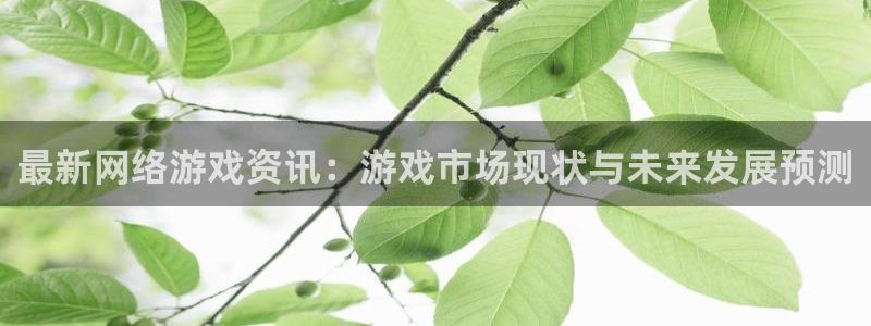 高德娱乐注册服务条款：最新网络游戏资讯：游戏市场现状与未来发